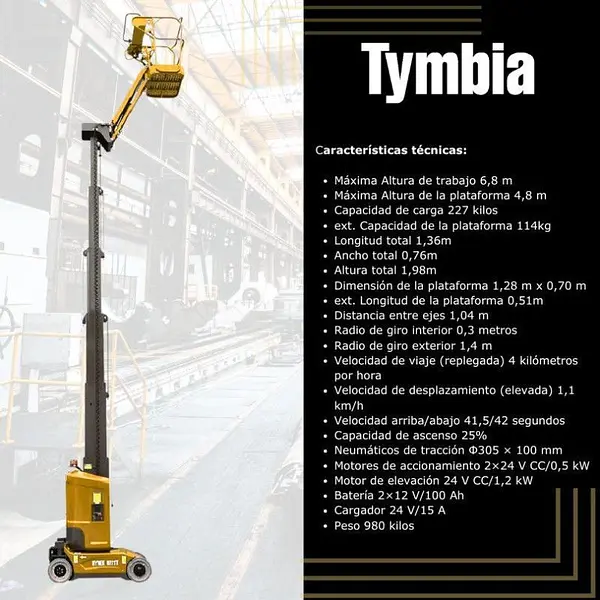 Plataforma Elevadora mástil vertical con brazo 4,8m-227kg