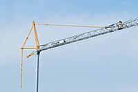 Potain Evy 30-23 4 t Self-Erecting Cranes
