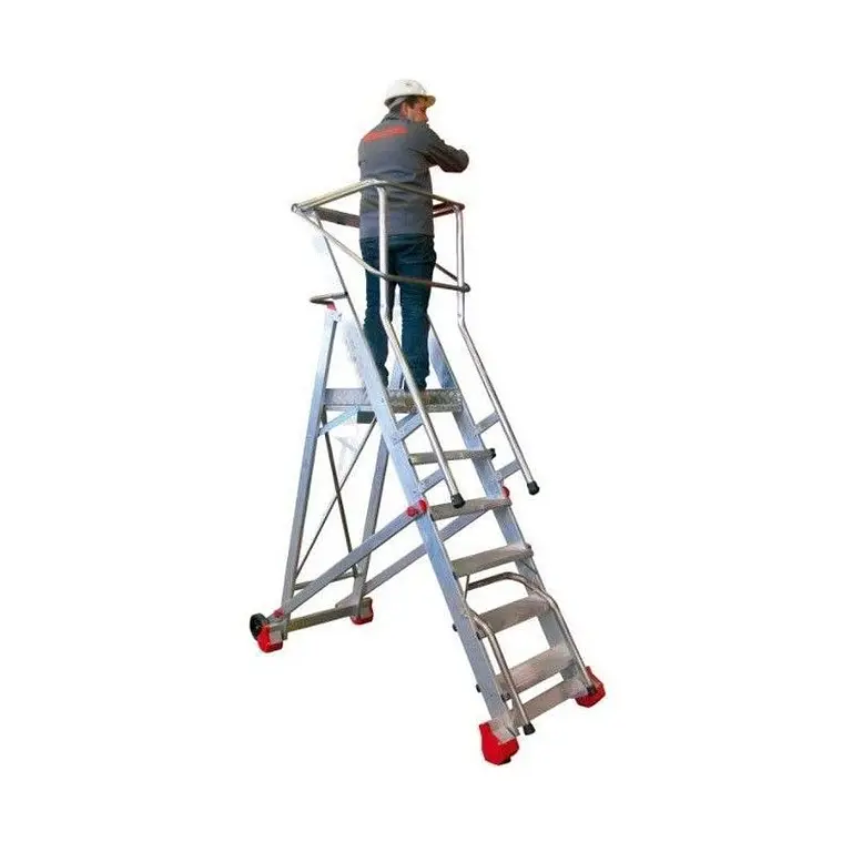 Ladder Robust with Platform, Wheels and Pells