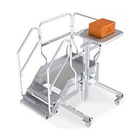 Ladder with work platform and lifting loading plane