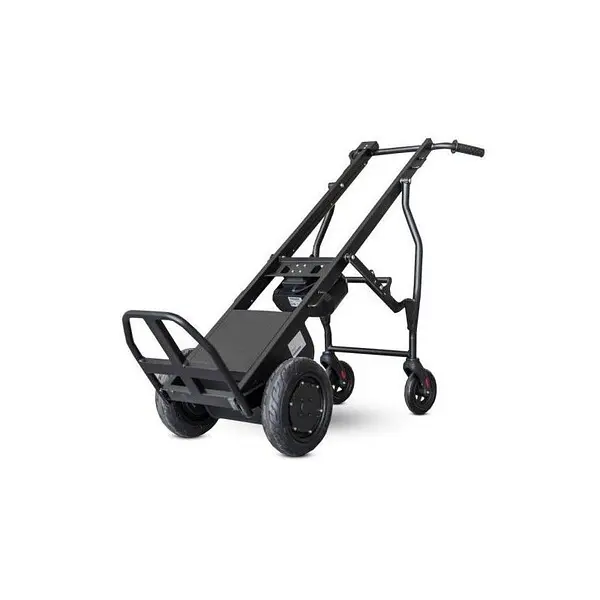 Carrito de reparto eléctrico 160 Kg