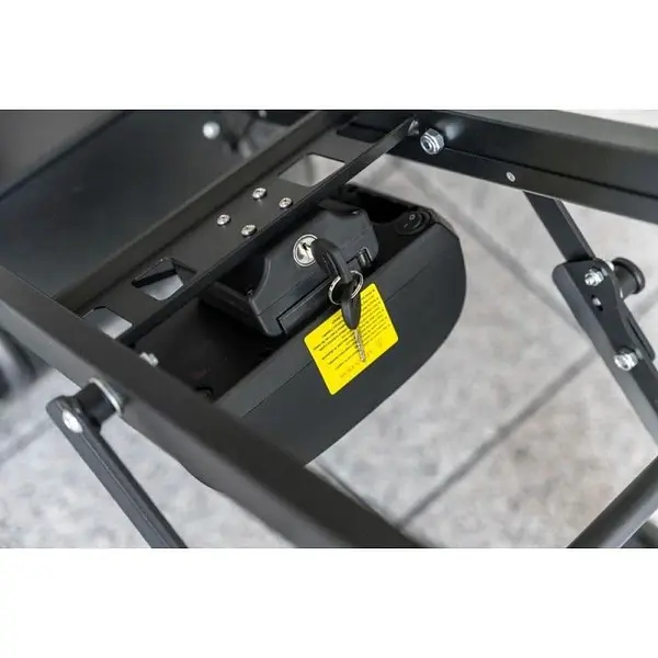 Carrito de reparto eléctrico 160 Kg