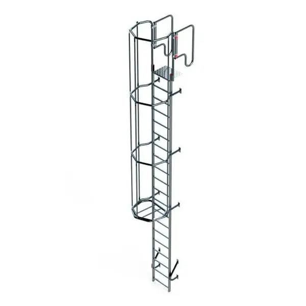 Escalera Vertical con Jaula de Protección