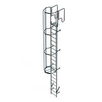 Escalera Vertical con Jaula de Protección