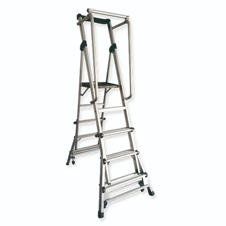 Platform ladder with 4 to 6 steps