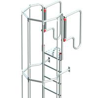 Ladder Vertical with Cage and Descansillo