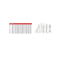 Ladder Robust with Platform, Wheels and Pells