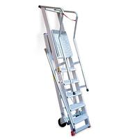 Ladder Robust with Platform, Wheels and Pells