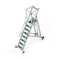 Ladder Robust with Platform, Wheels and Pells