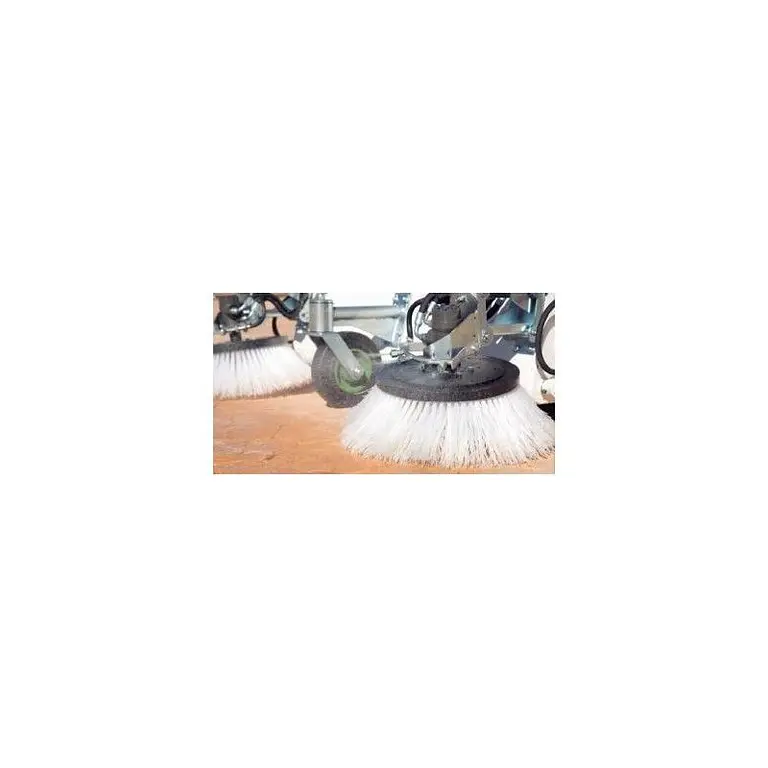 Sweeper Dumper autochargeable