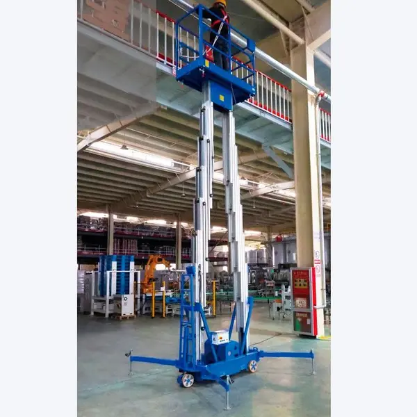 Plataforma Elevadora doble mástil vertical 12m-200kg (batería)
