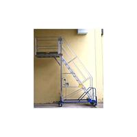 Adjustable industrial ladder with platform