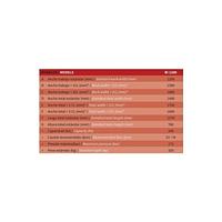 Barredora industrial TY-1200