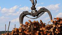 Rotobec 060CHD RT502 forestry grapple