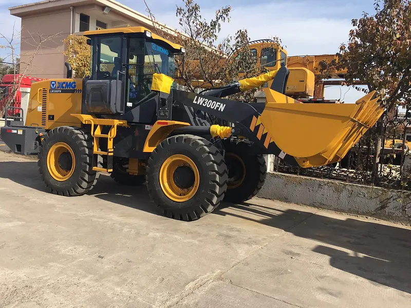 Cargador frontal XCMG LW300FN