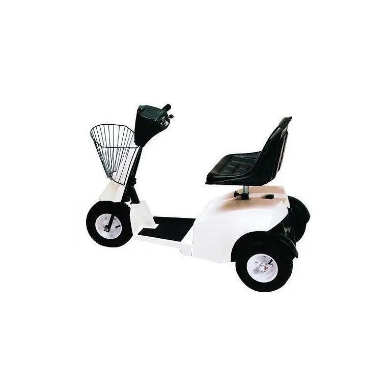 Electric vehicle 300kg driver sitting