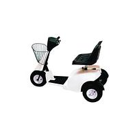 Electric vehicle 300kg driver sitting