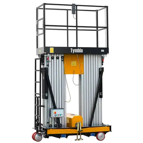 Plataforma Elevadora doble mástil vertical 10m-200kg (batería)